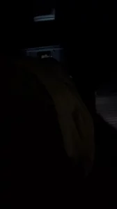 蜜桃臀 后入大屁股